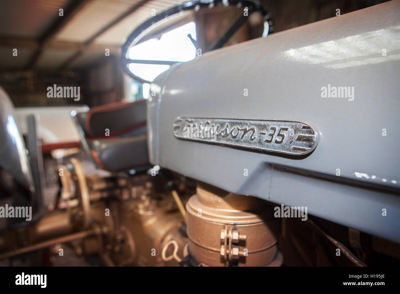 Oldtimer Ferguson F35-Traktor, trocken gelagert in landwirtschaftliches Gebäude Stockfoto