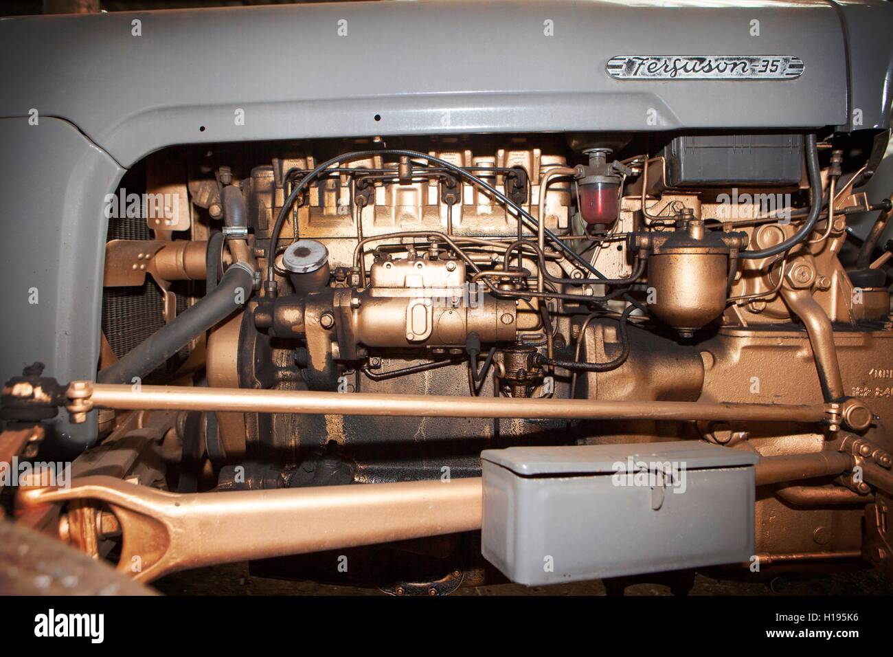 Jahrgang 35 Massey Ferguson (MF 35) Traktor gold lackiert Motor, trocken im Bauernhof Gebäude gelagert Stockfoto