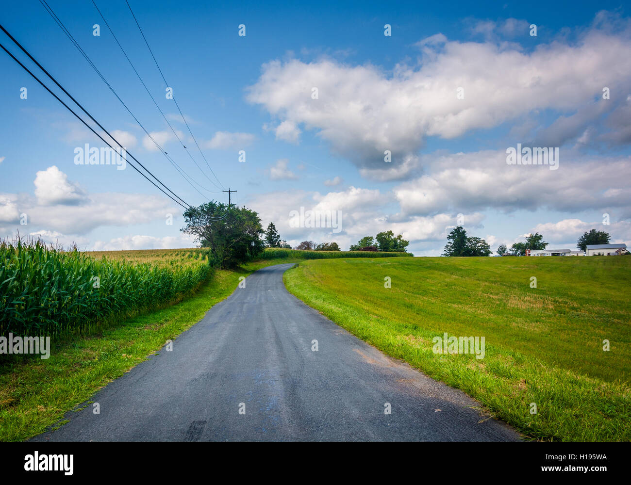 Straße in ländlichen Baltimore County, Maryland. Stockfoto