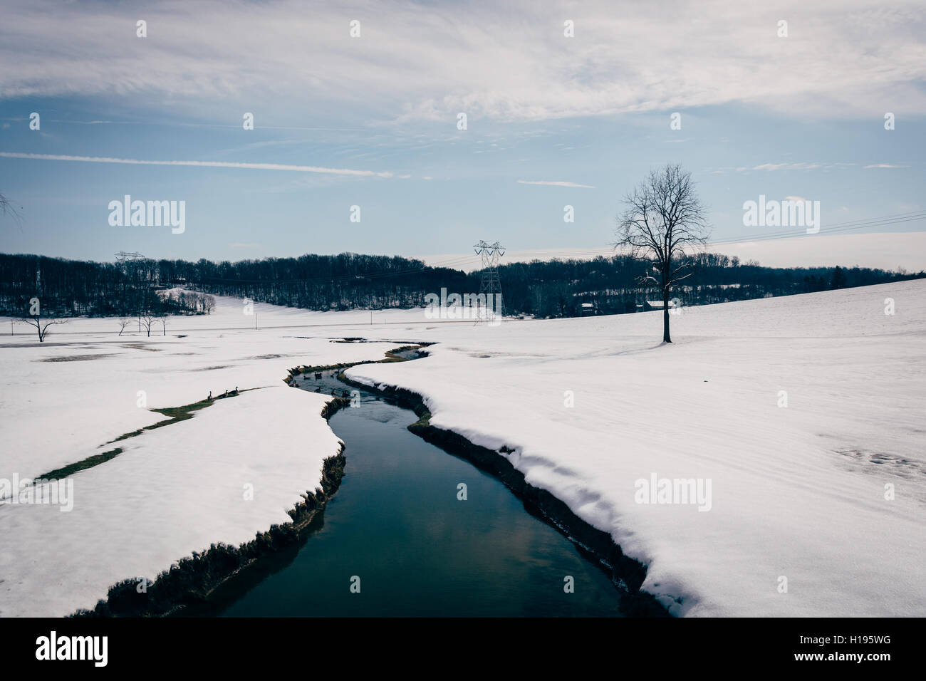 Kleiner Bach durch ein Schneefeld überdachten Hof in ländlichen Carroll County, Maryland. Stockfoto