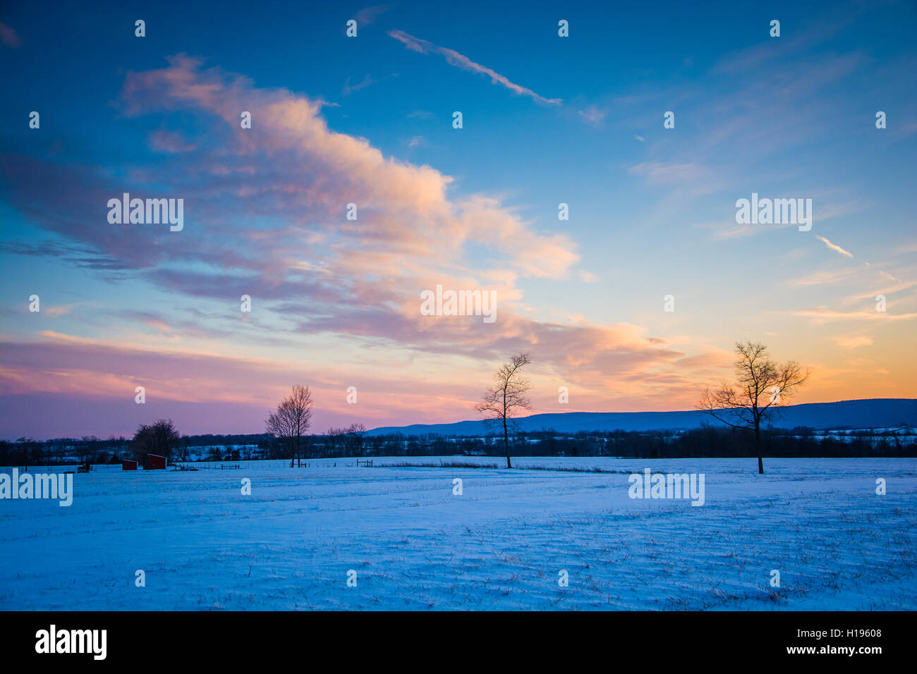 Winter-Sonnenuntergang über einem Feld-Hof in ländlichen Frederick County, Maryland. Stockfoto