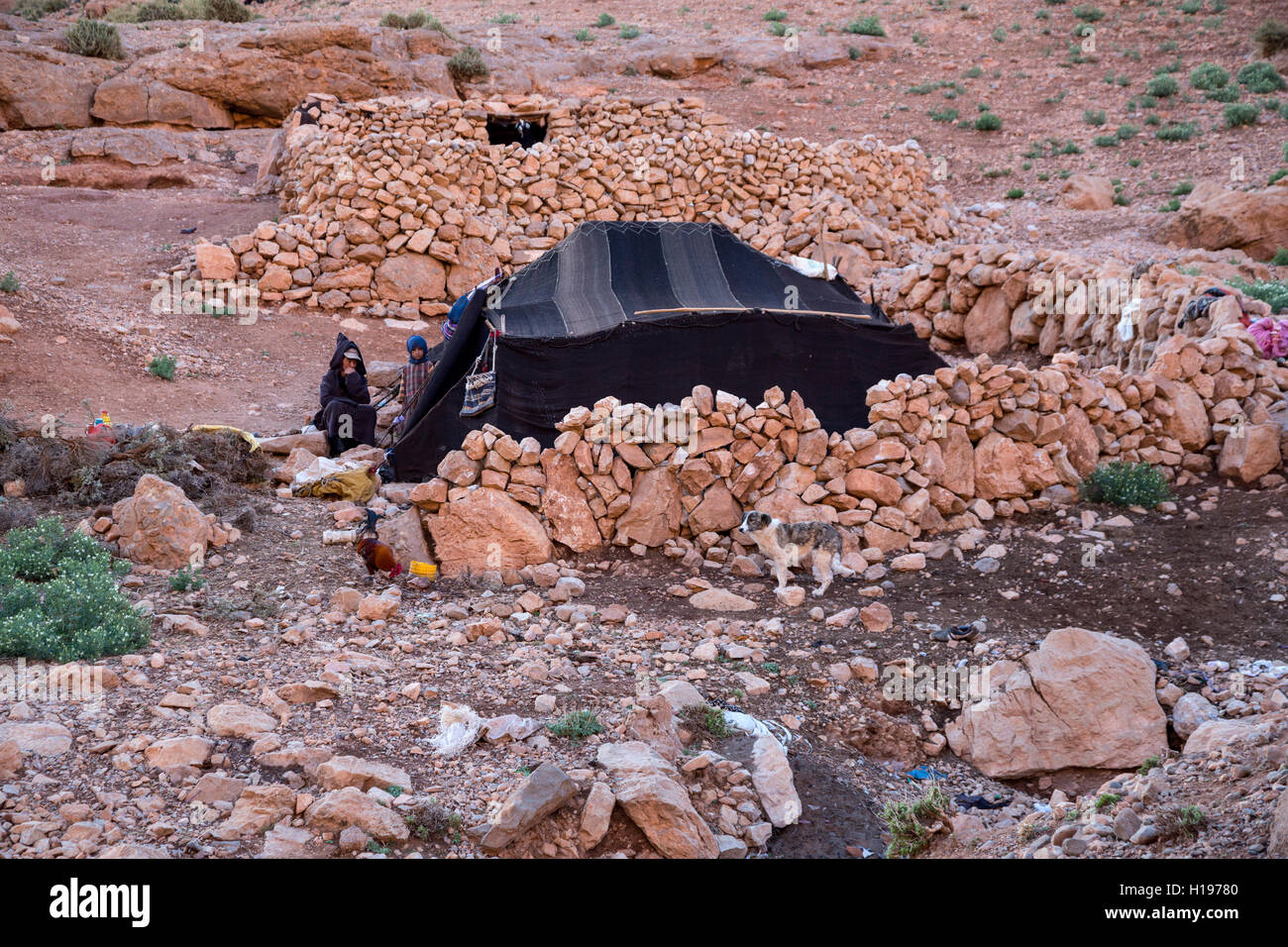 Todra Schlucht, Marokko.  Amazigh Berber-Zelt und saisonale Campingplatz. Stockfoto