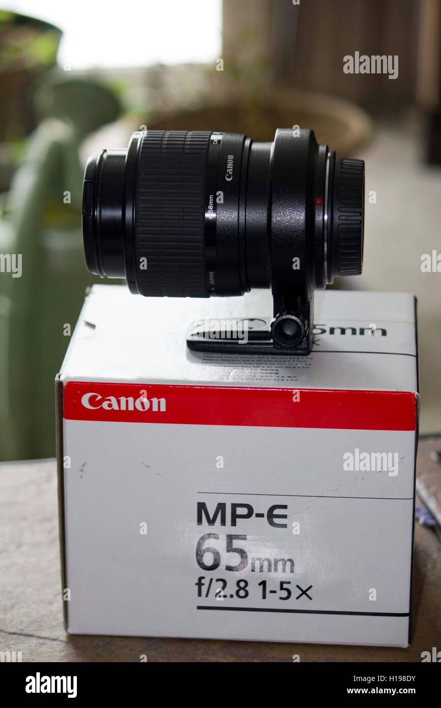 Canon Makro-Objektiv Stockfoto