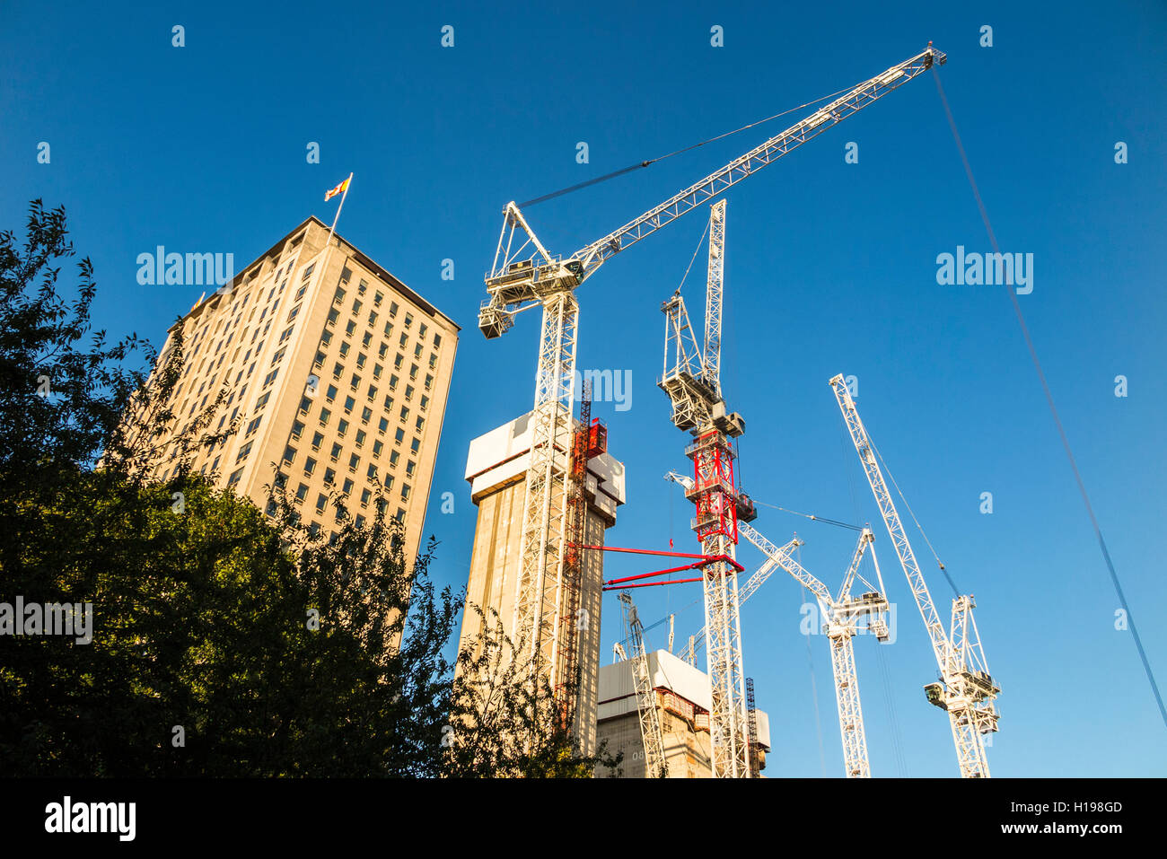 Wohnimmobilien Branche: turmdrehkrane an der Southbank stellen hohe Bebauung, London SE1, bei sonnigem Wetter mit blauem Himmel Stockfoto