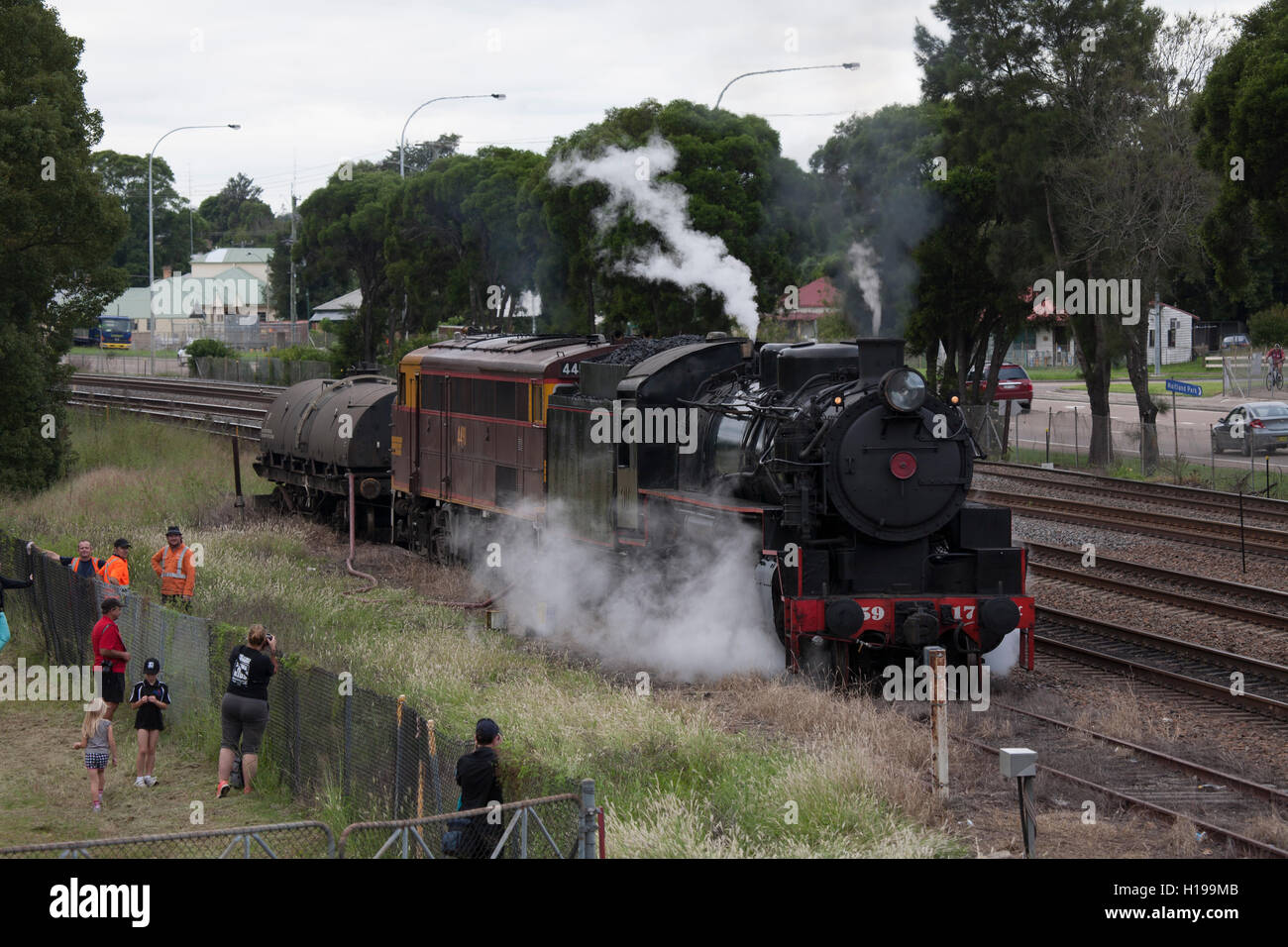 Eisenbahn-Dampflokomotiven auf dem Display bei Maitland NSW Australia Stockfoto