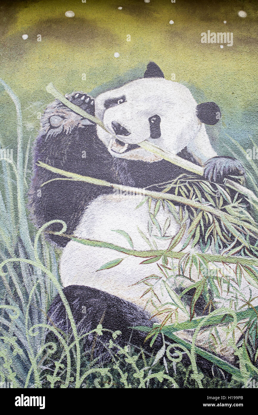 Panda mit Bambus Wand gezeichnet Tiere Stockfoto