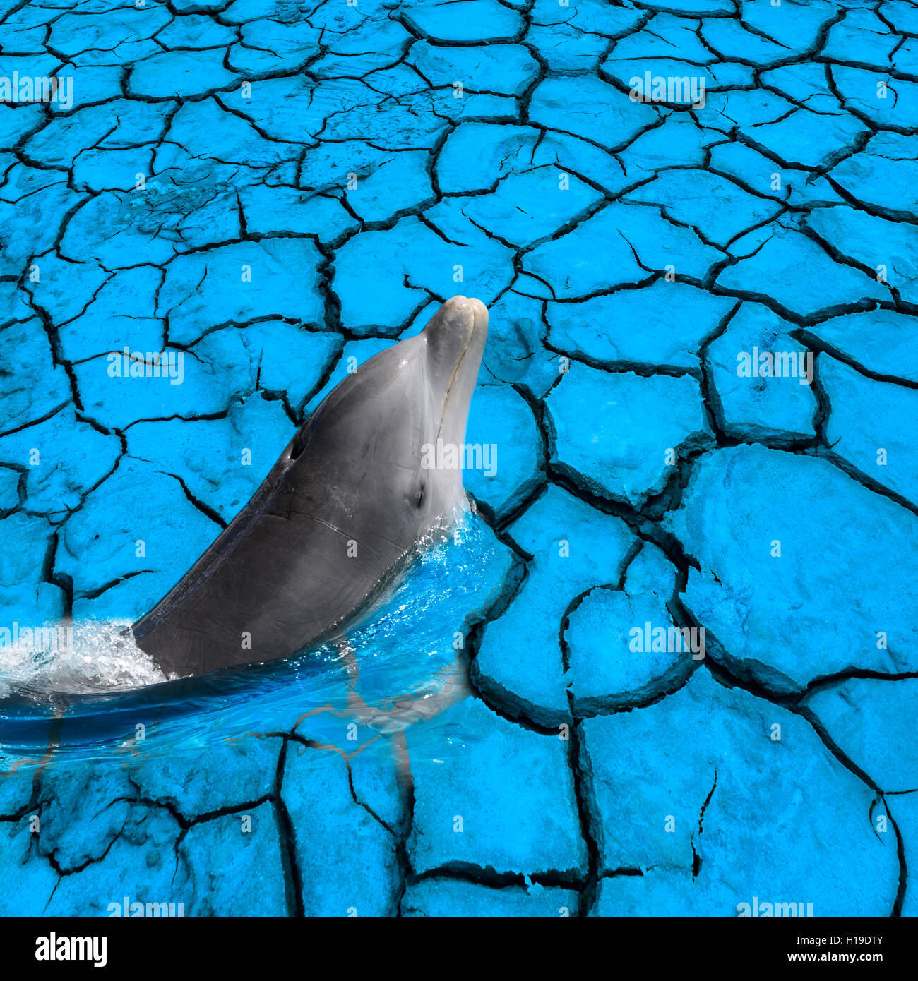 Delphinschwimmen aus blauen trockenen Fußes auf die globale Erwärmung aufmerksam Stockfoto