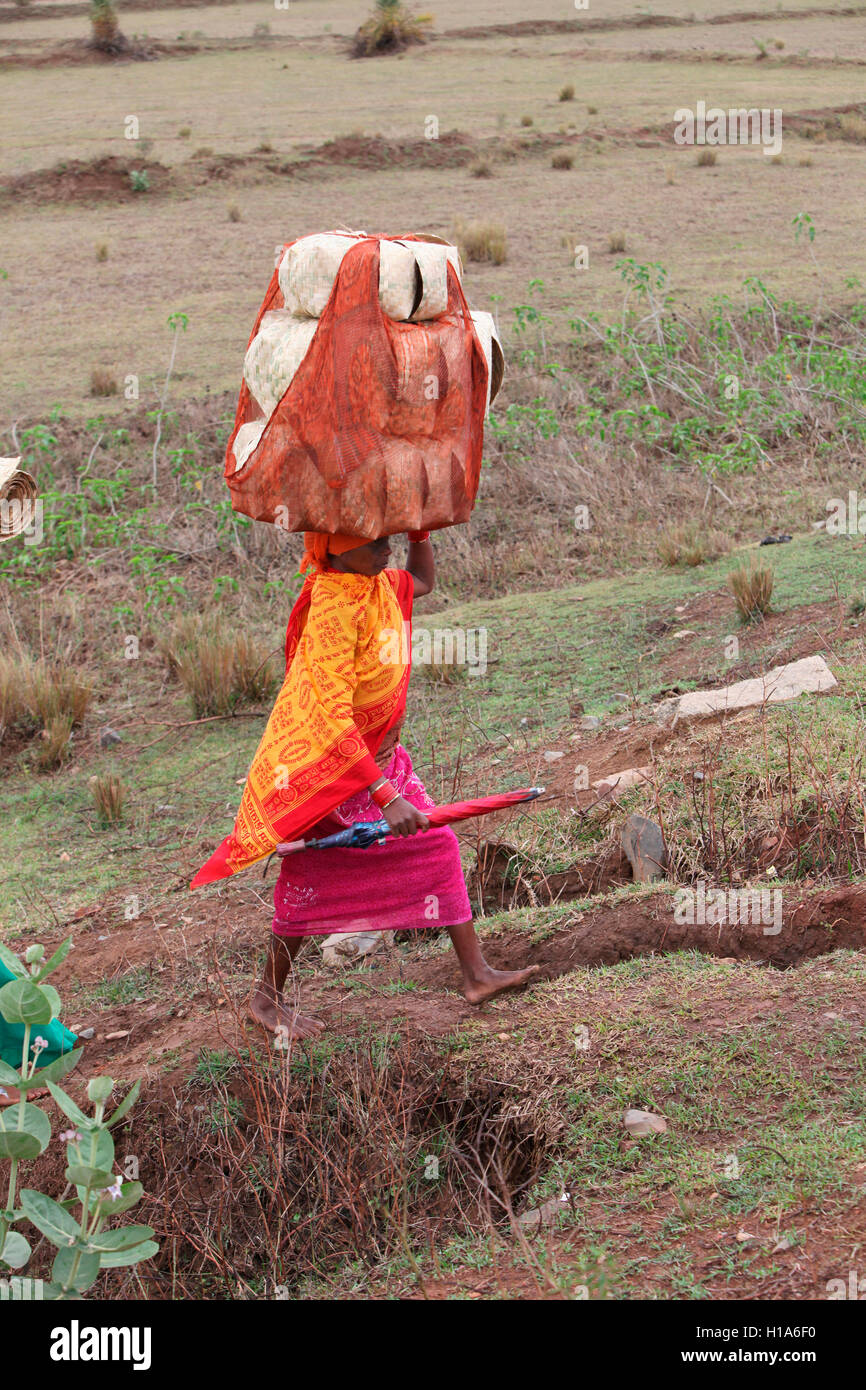 Stammes- Frau, die auf dem Markt, Chattisgarh, Indien Stockfoto