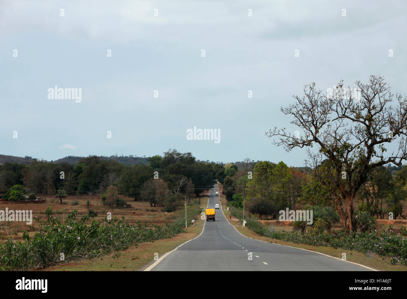 State Highway, Chattisgarh, Indien Stockfoto