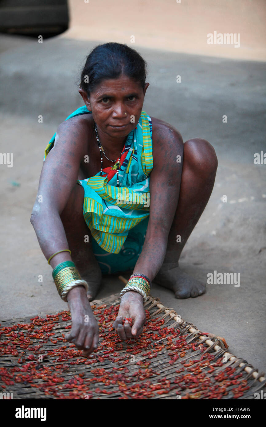 Stammesfrau beim Trocknen von Tomaten, Muria Tribe, Erdku Village, Chattisgarh, Indien. Ländliche Gesichter Indiens Stockfoto