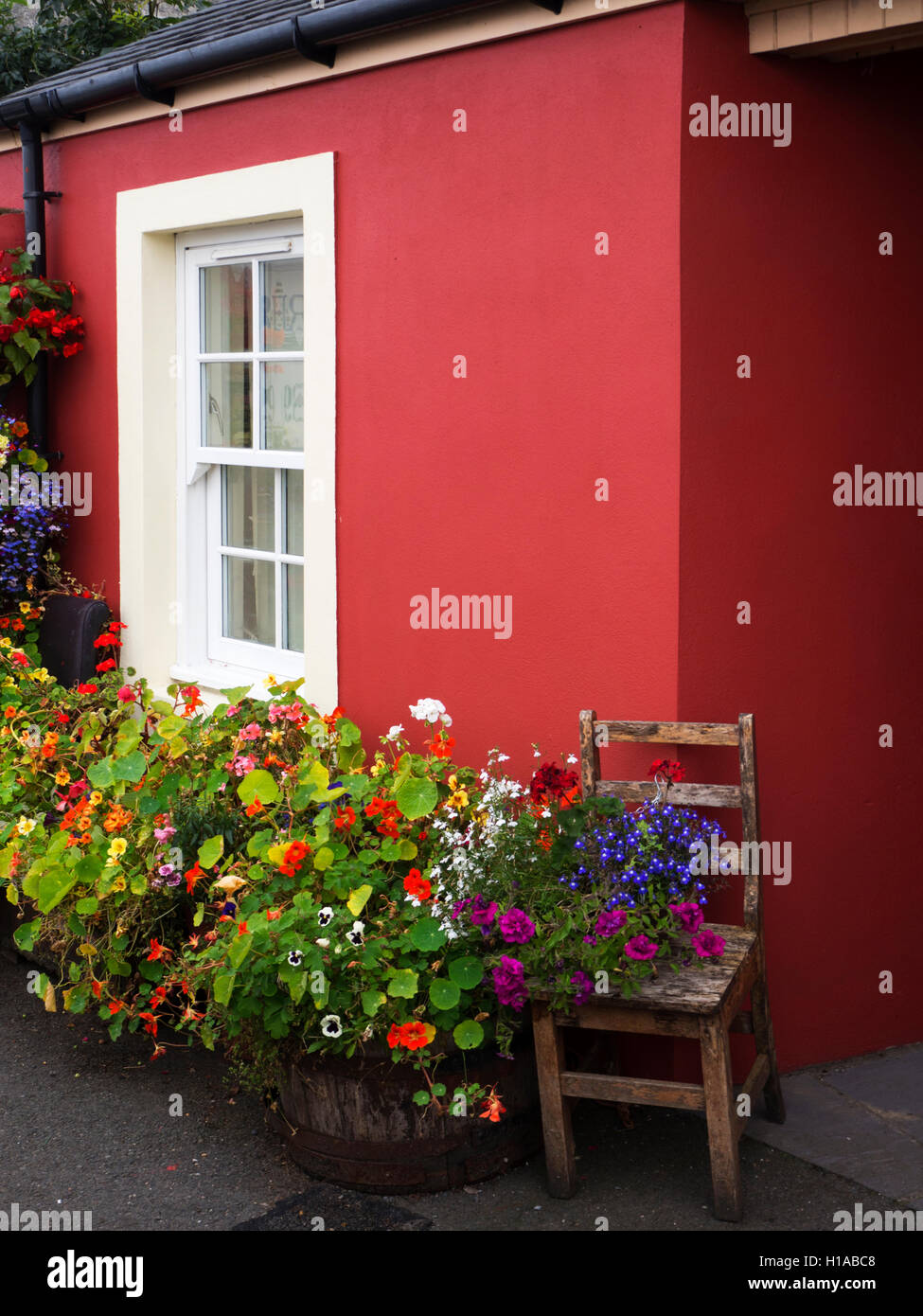 Sommerblumen in Containern vor einem Haus in Tobermory Isle of Mull Argyll und Bute Schottland Stockfoto