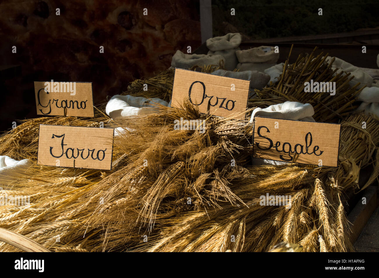 Italien-Piemont-Turin - "Mutter Erde - 2016 Salone del Gusto"-das Thema der diesjährigen Ausgabe ist LOVING THE EARTH - Toskana Garfagnana Dinkel, Weizen und Gerste Stockfoto