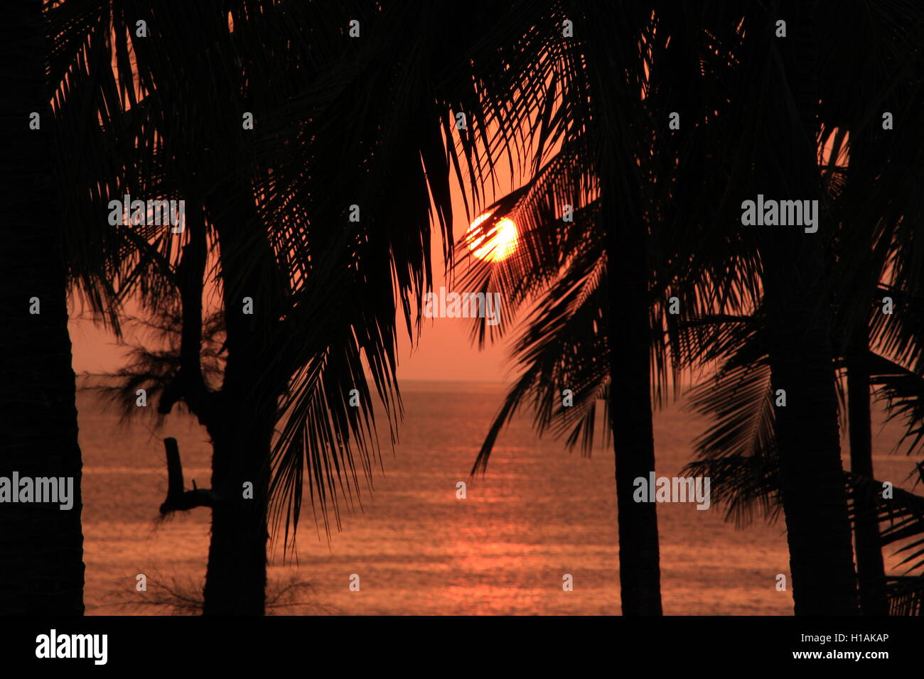 Sonnenuntergang in Thailande, mit Schatten Stockfoto