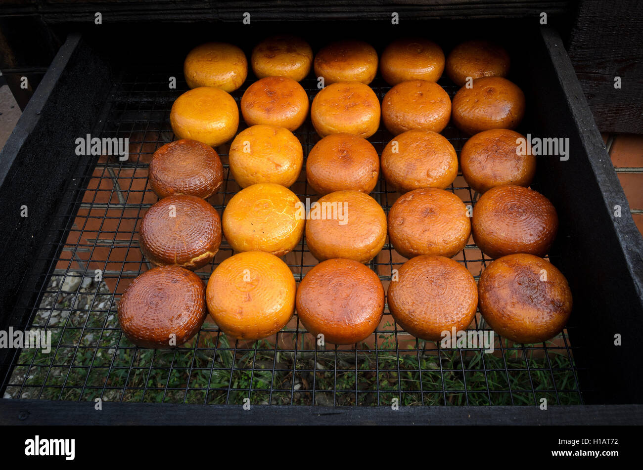 Lasarewskoje, Lazarevskiy Bezirk, Krasnodar, Russland. 23. Sep, 2016. Adygeische Käse gekocht in hausgemachter Käse © Aleksei Sukhorukov/ZUMA Draht/Alamy Live News Stockfoto