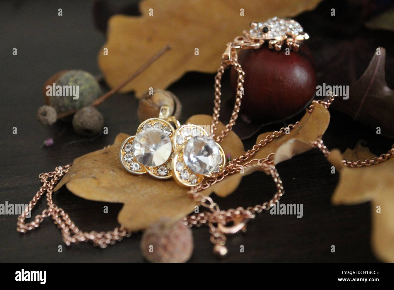Glanz goldene Ohrringe in Form von Blumen mit Kristall in Kette mit Glanz Frosch schöne Accessoires Stockfoto