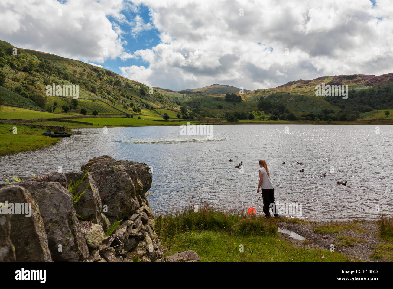 Mädchen mit einem Fischernetz auf Watendlath Tarn, Lake District, Cumbria, England Stockfoto