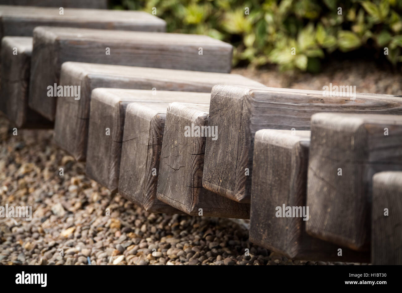 eine Reihe von Holzklötzen bilden einen kleinen Pfad in einem lokalen park Stockfoto