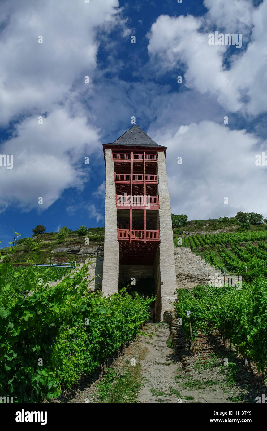 Mittelalterliches Dorf Bacharach. Turm der Stadtmauer im Hang des Hügels, von Weinberg abgedeckt. Rihne Vally, Deutschland. Stockfoto