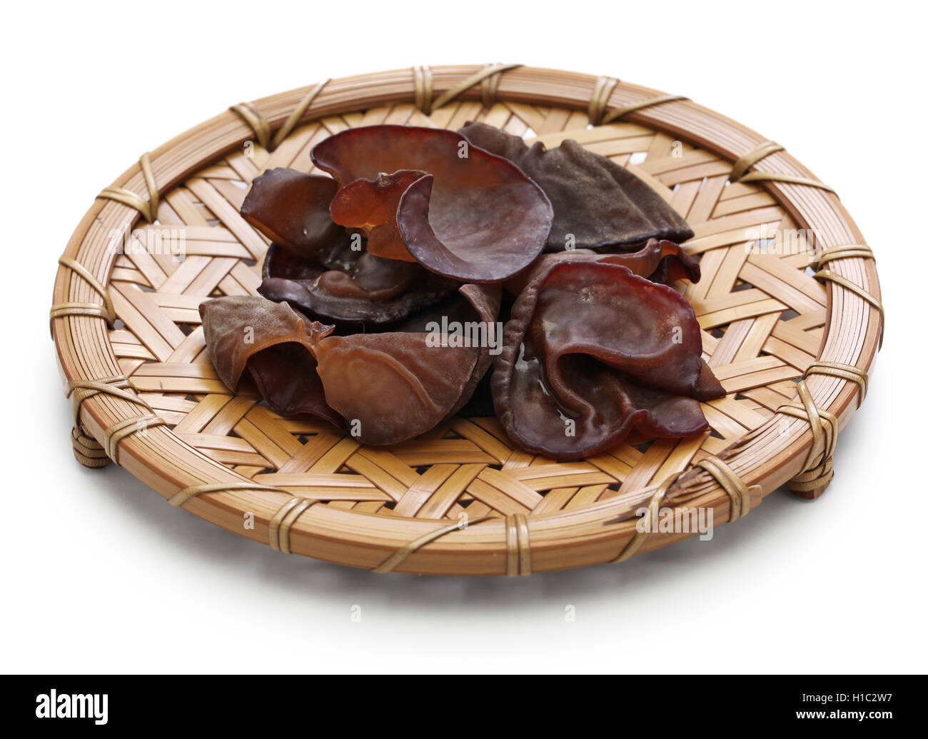 frisches Holz Ohr Pilze isolierten auf weißen Hintergrund Stockfoto
