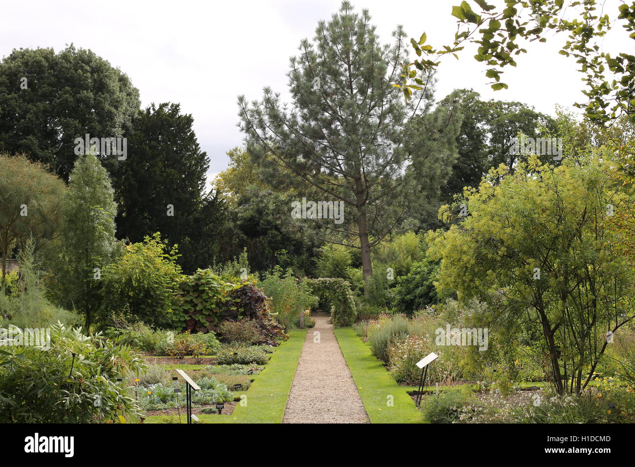 Chelsea Physic Garden Stockfoto