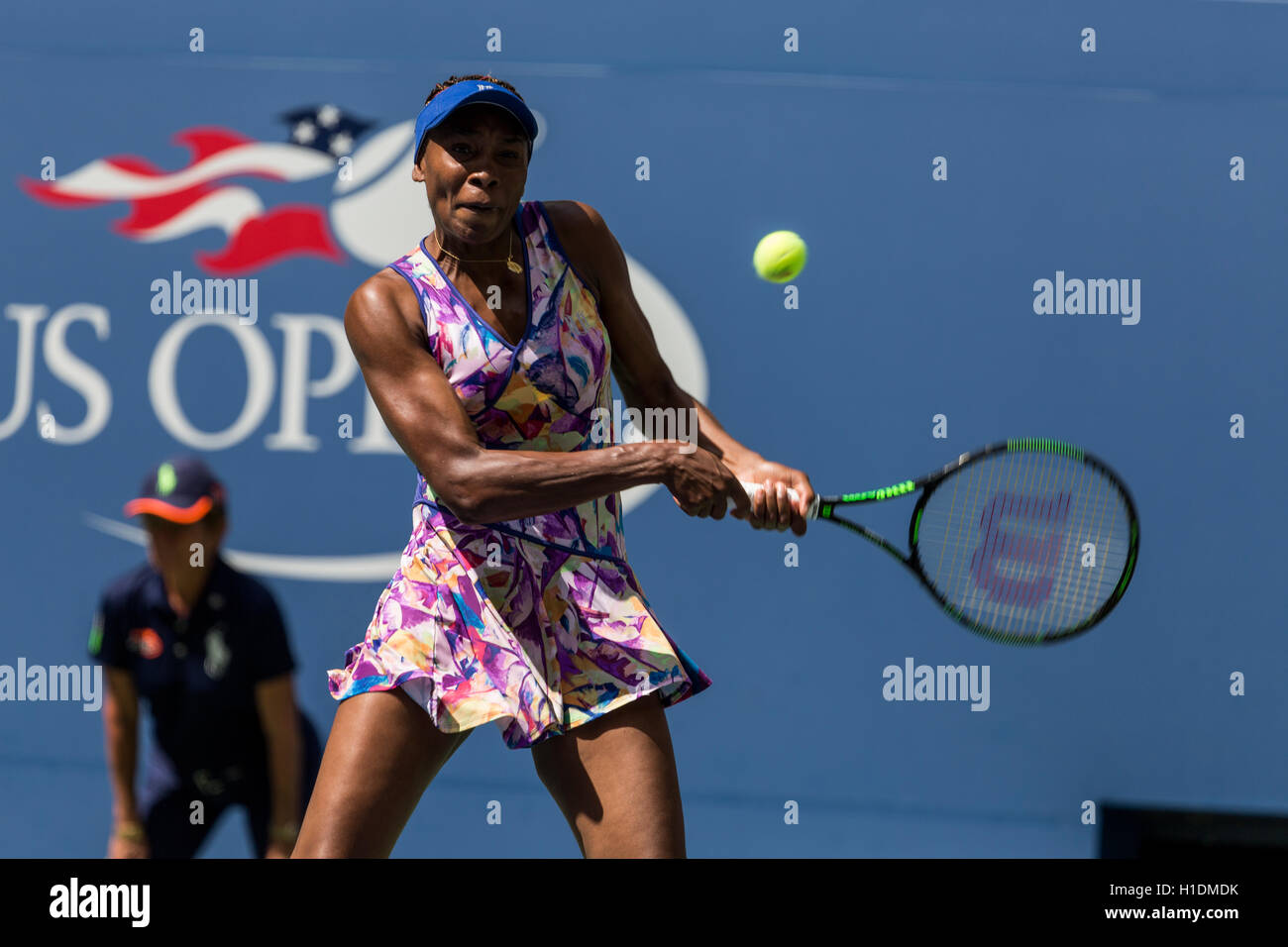 Venus Williams (USA) im Wettbewerb bei den US Open 2016 Stockfoto