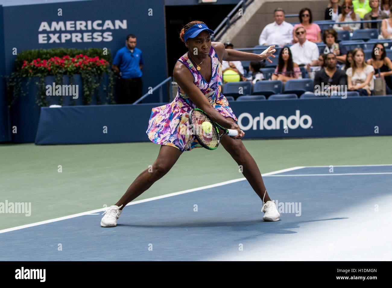 Venus Williams (USA) im Wettbewerb bei den US Open 2016 Stockfoto