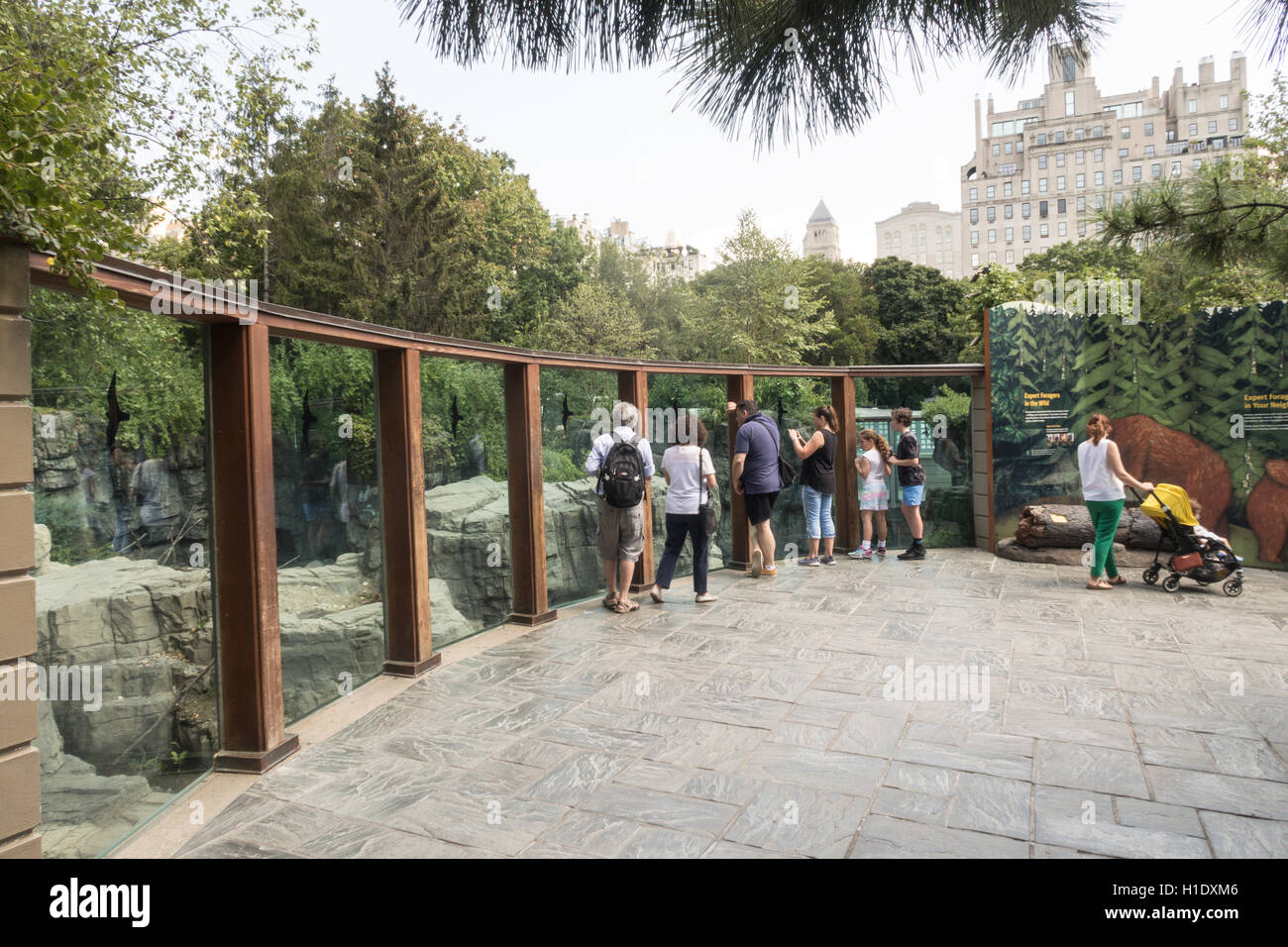 Grizzly Bear Habitat im Central Park Zoo, NYC, USA Stockfoto