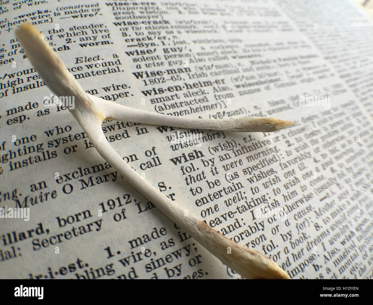 Querlenker und Wunsch-Wörterbuch-Definition Stockfoto