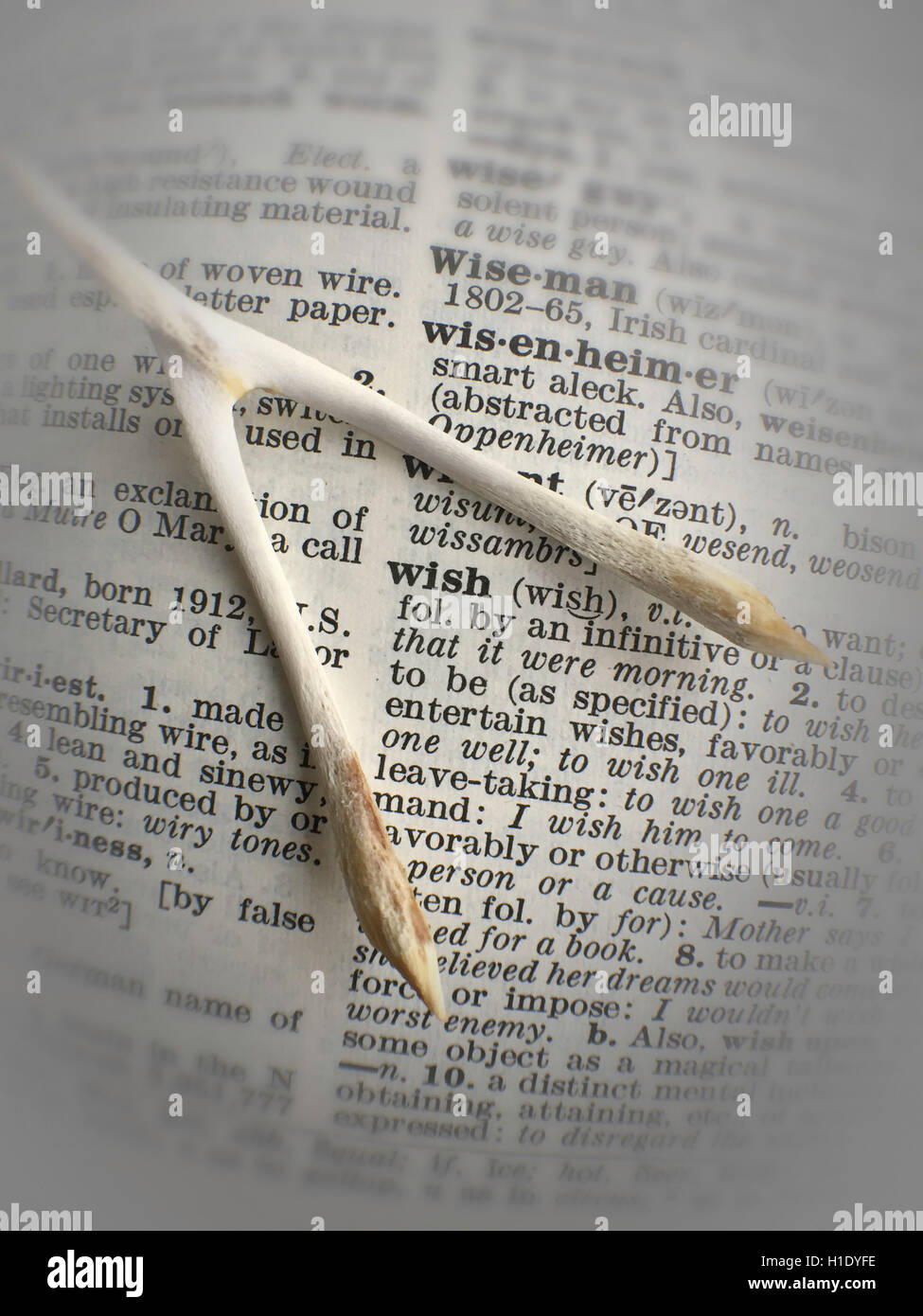 Querlenker und Wunsch-Wörterbuch-Definition Stockfoto