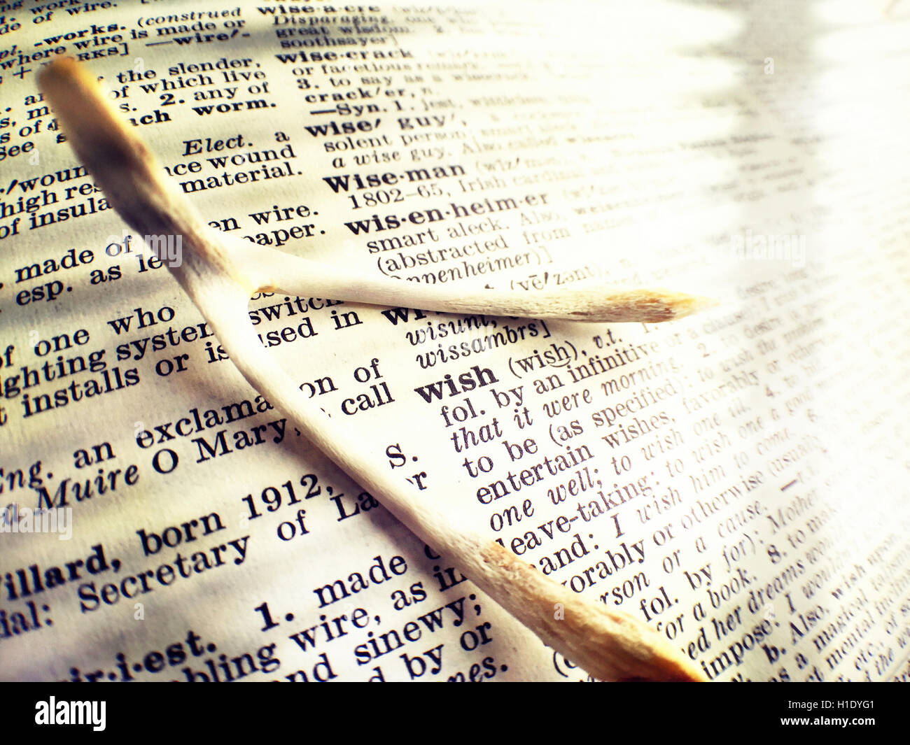 Querlenker und Wunsch-Wörterbuch-Definition Stockfoto