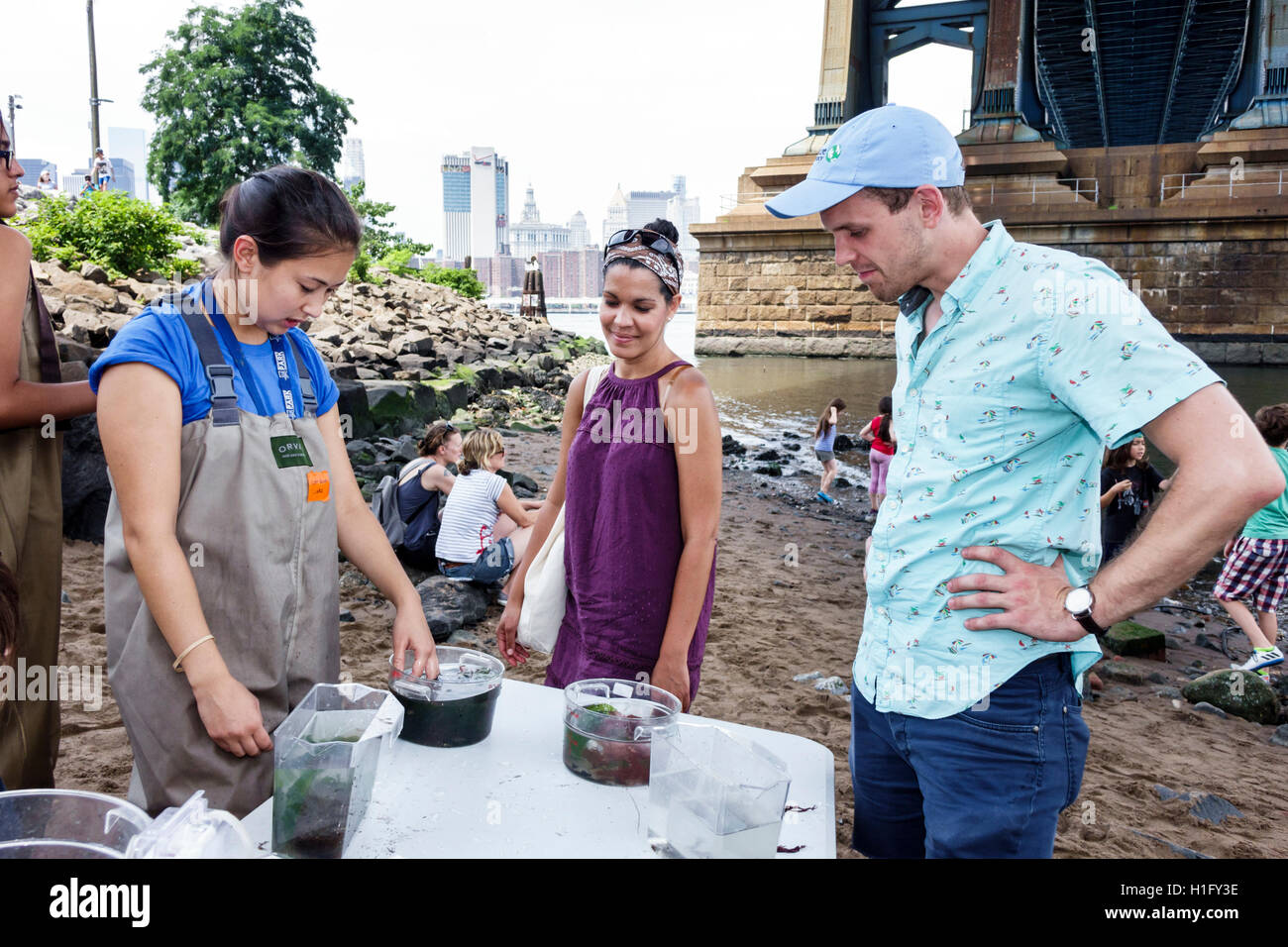 New York City, NY NYC East River, Brooklyn, Dumbo, Brooklyn Bridge Park, Konservierung, Bildung, aquatisches Ökosystem, Beispiele, unter der Manhattan Bridge, Asiaten Stockfoto