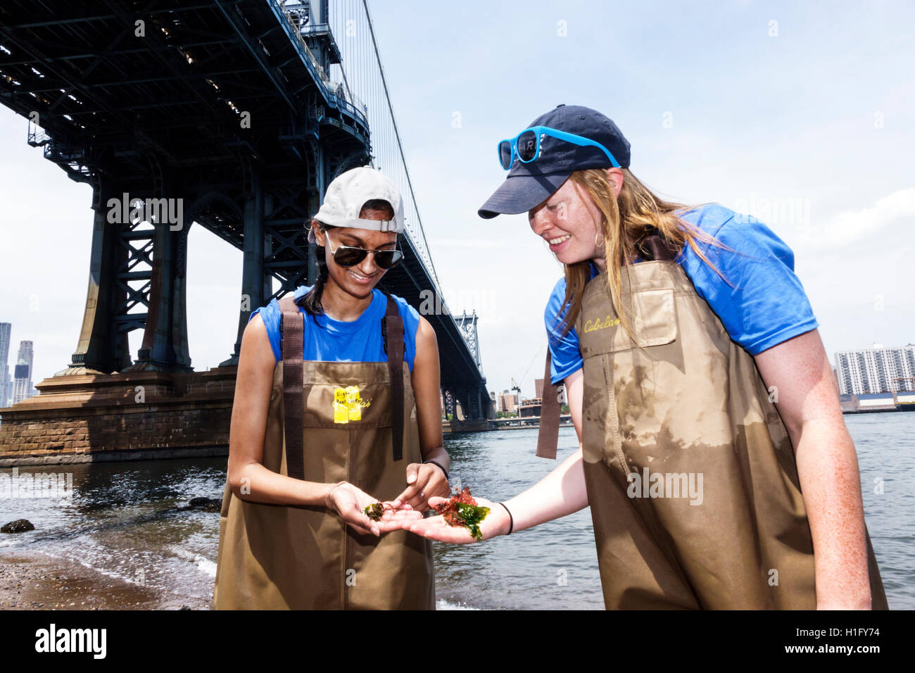 New York City, NY NYC East River, Brooklyn, Dumbo, Brooklyn Bridge Park, Konservierung, Bildung, aquatisches Ökosystem, Proben halten, unter der Manhattan Bridge, Stockfoto