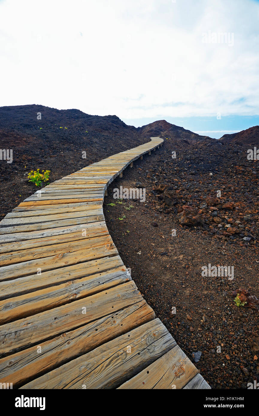 Bohlenweg Beim Faro de Teno, Buenovista, Teneriffa, Spanien Stockfoto