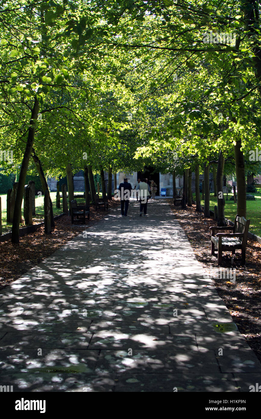 Gefleckte Sonnenlicht auf den Weg zum Holy Trinity Church, London, UK Stockfoto