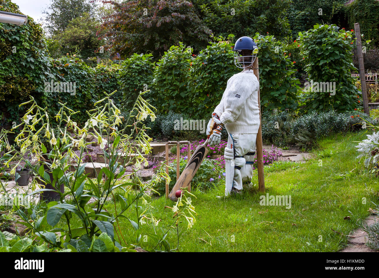 Vogelscheuche im Cricket-Kit mit Helm, Schläger und ball Stockfoto