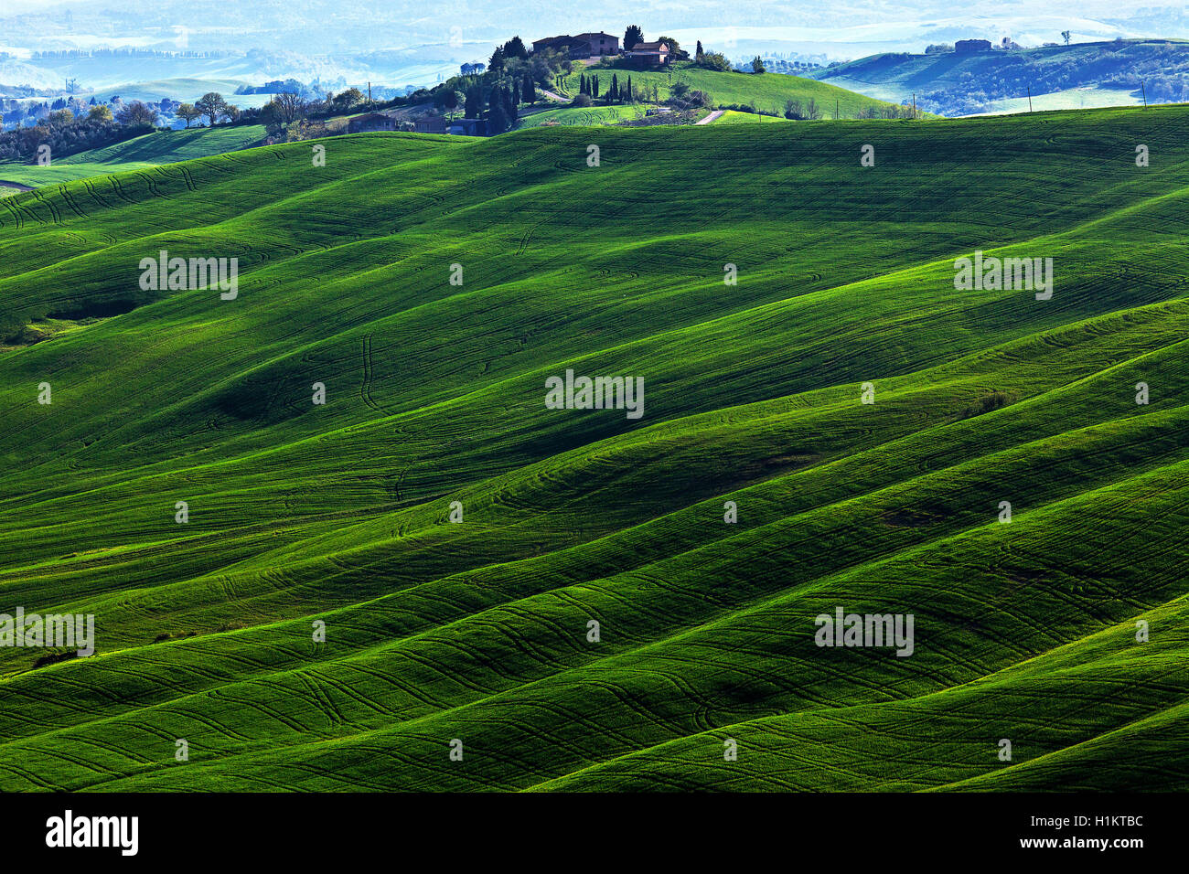 Hügelige Landschaft, Getreidefelder und Bauernhaus, Asciano, Crete Senesi, Provinz Siena, Toskana, Italien Stockfoto