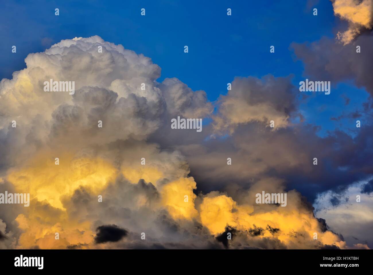Gewitterwolken, hoch aufragende vertikale Wolken, cumulonimbus, Abendlicht, Bayern, Deutschland Stockfoto