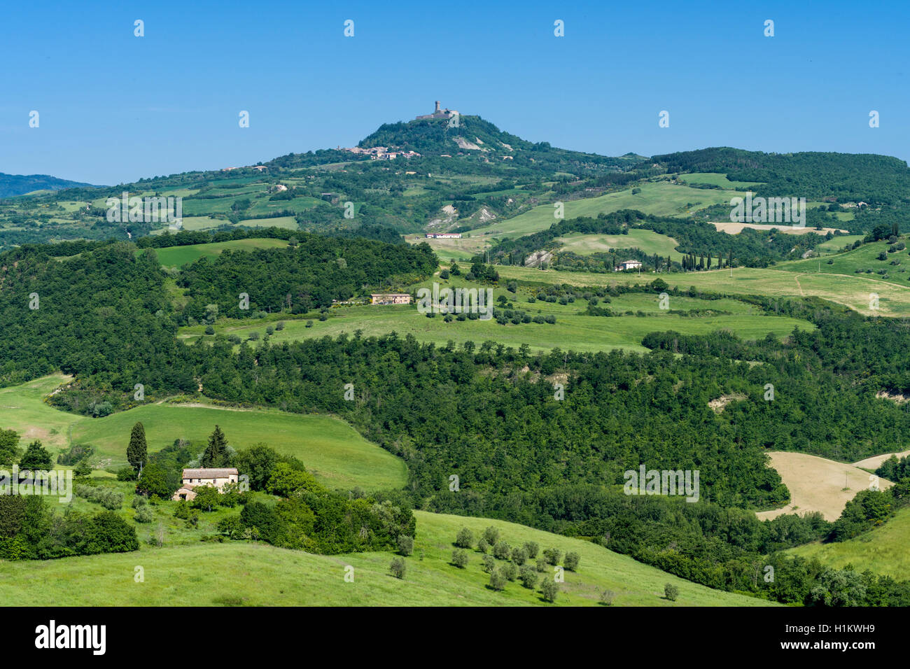 Typische Grün der toskanischen Landschaft mit Hügeln, Bäumen, Getreide, landwirtschaftlichen Betrieben und blauer Himmel, Celle sul Rigo, Toskana, Italien Stockfoto