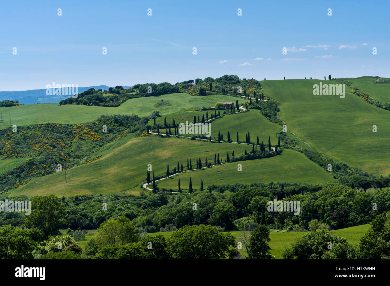 Typische Grün der toskanischen Landschaft im Val d'Orcia mit Hügel, Bäume, Felder, Zypressen und Farm Road, La Foce, Toskana, Italien Stockfoto