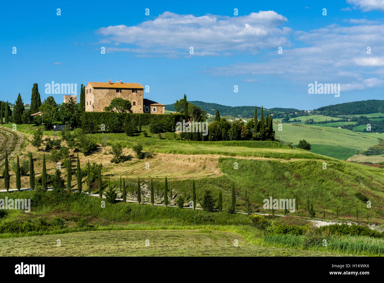 Typische Grün der toskanischen Landschaft im Val d'Orcia, Bauernhof auf einem Hügel, Felder, Bäume, Zypressen und blauen bewölkten Himmel, La Foce, Toskana Stockfoto