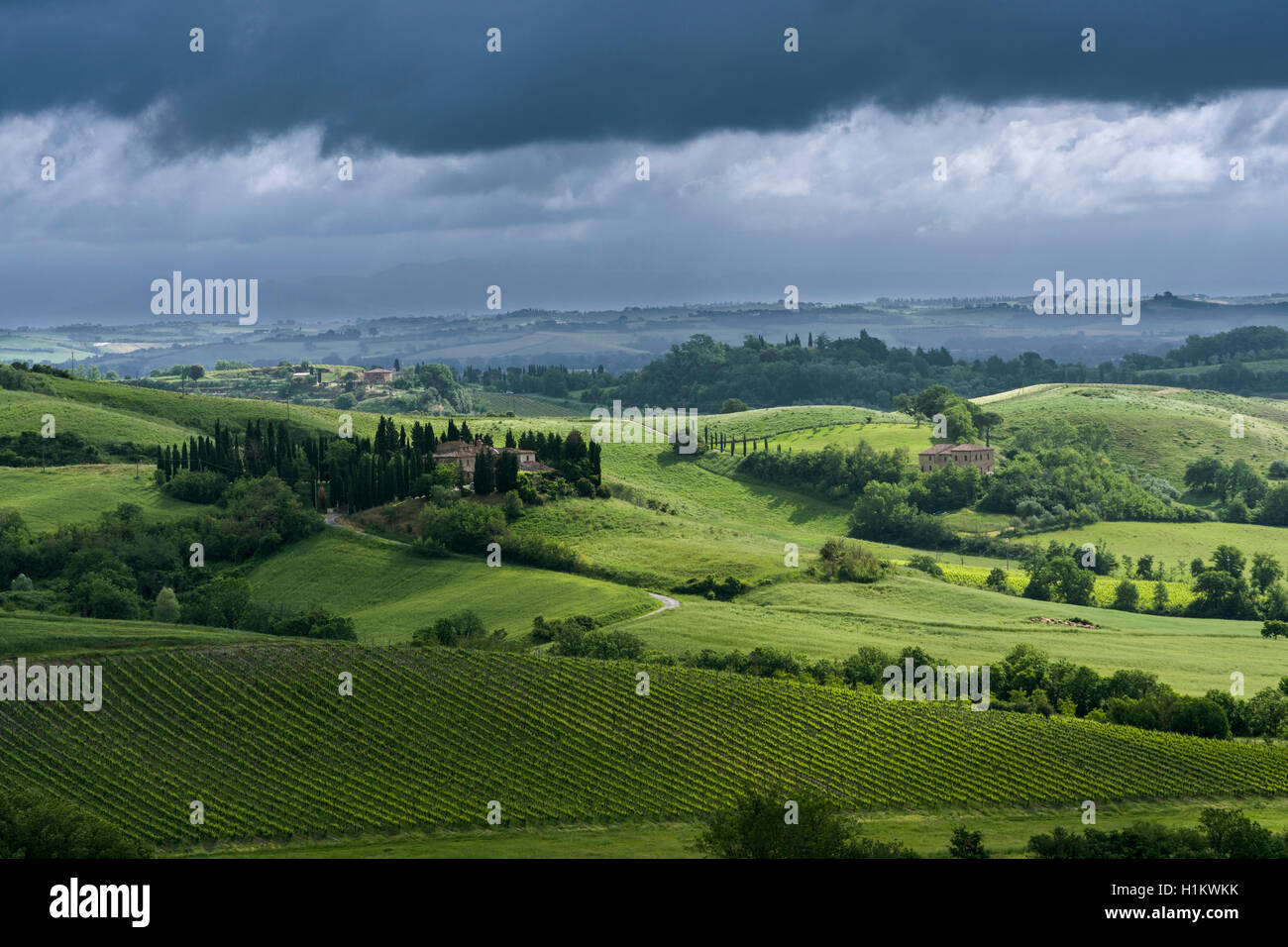 Typische Grün der toskanischen Landschaft im Val d'Orcia mit Hügeln, Betrieb, Felder, Bäume, Weinbergen, Olivenplantagen und bewölkter Himmel Stockfoto