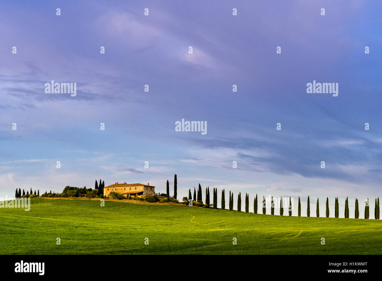 Typische Grün der toskanischen Landschaft in Bagno Vignoni, Val d'Orcia, Bauernhof auf einem Hügel, Felder, Zypressen und Blau, bewölkter Himmel Stockfoto