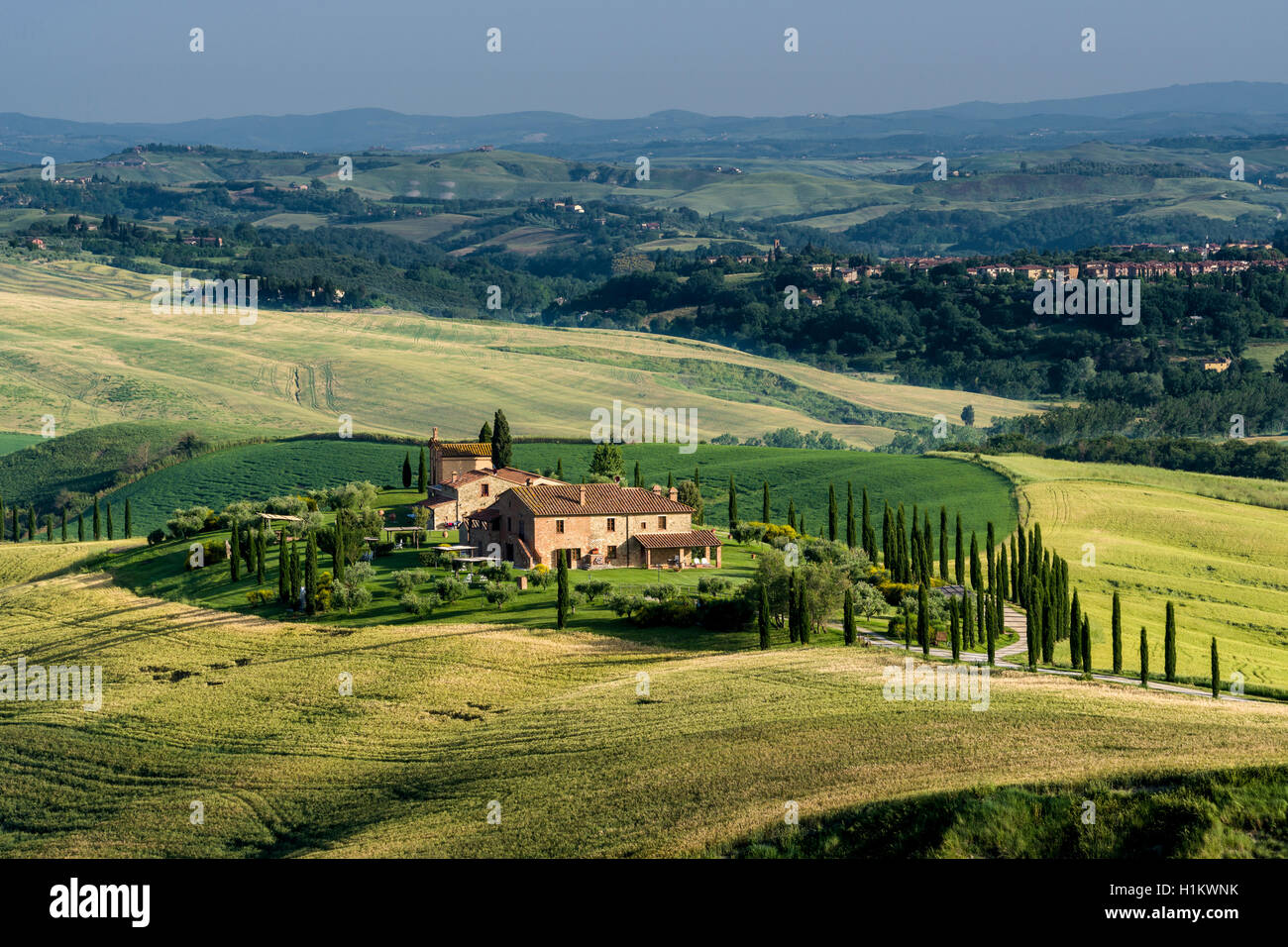 Typische Grün der toskanischen Landschaft im Val d'Orcia mit Farm auf einem Hügel, Felder, Zypressen und blauer Himmel, Siena, Toskana, Italien Stockfoto