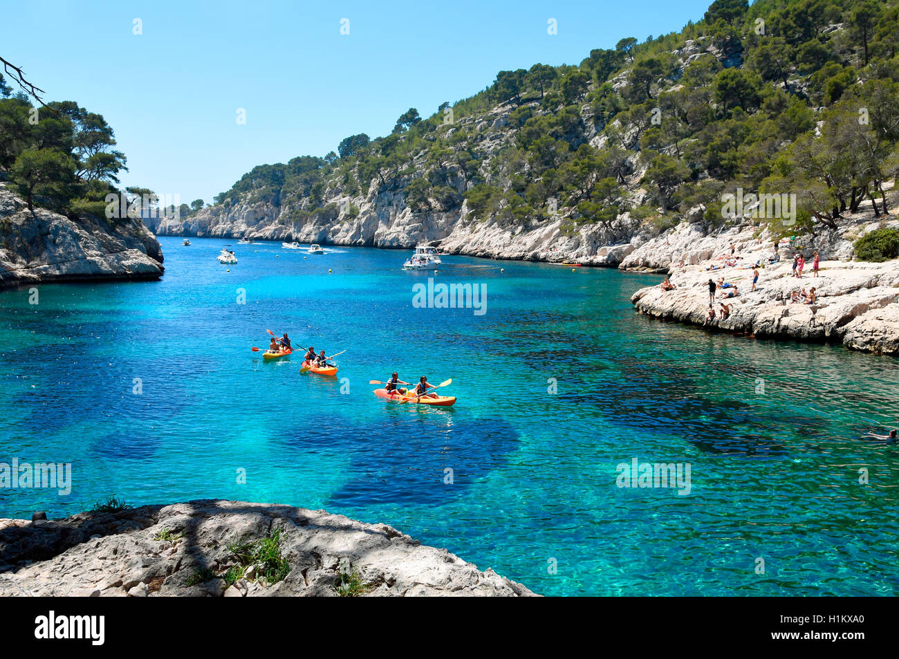 Calanque de Port Pin, Calanques Nationalpark, Provence, Frankreich Stockfoto