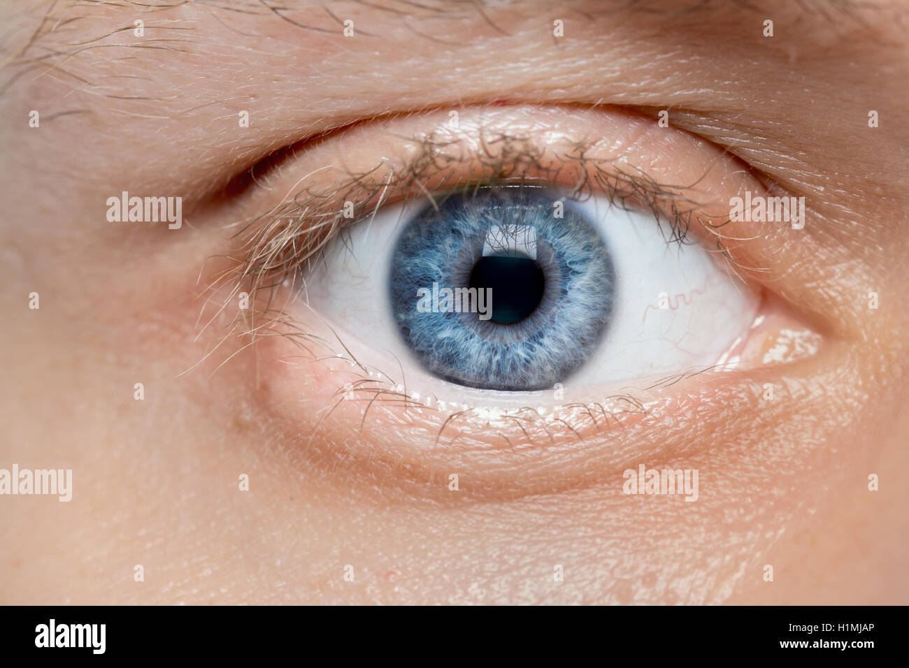 blaue junger Mann Auge Makro Stockfoto