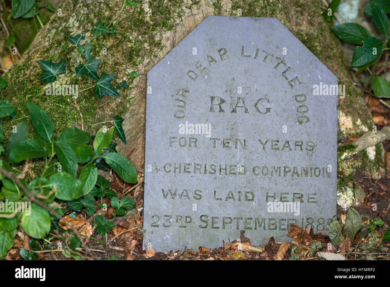 Grabstein, Hund begraben im Jahre 1885. Neunzehnten Jahrhunderts