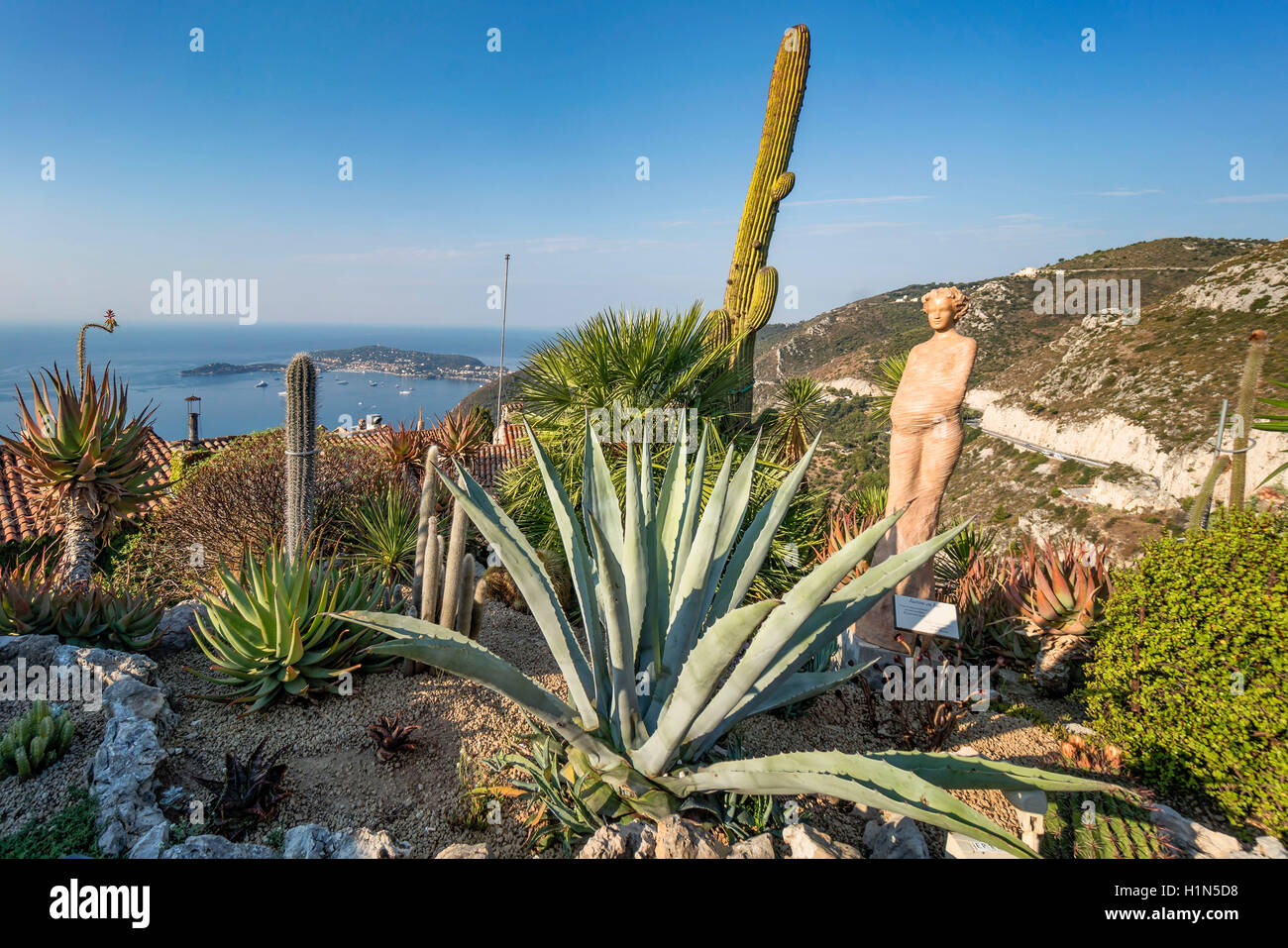 Jardin Exotique, Kakteen, Eze Village, Eze, Provence-Alpes-Cote d ' Azur, Frankreich Stockfoto