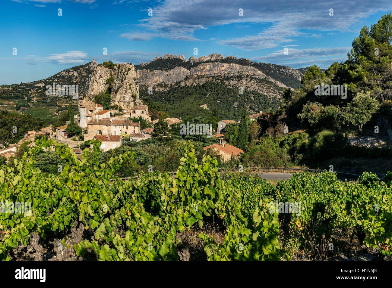 Weinbau, La Roque-Alric, Montmirail Spitze, Vaucluse, Frankreich Stockfoto