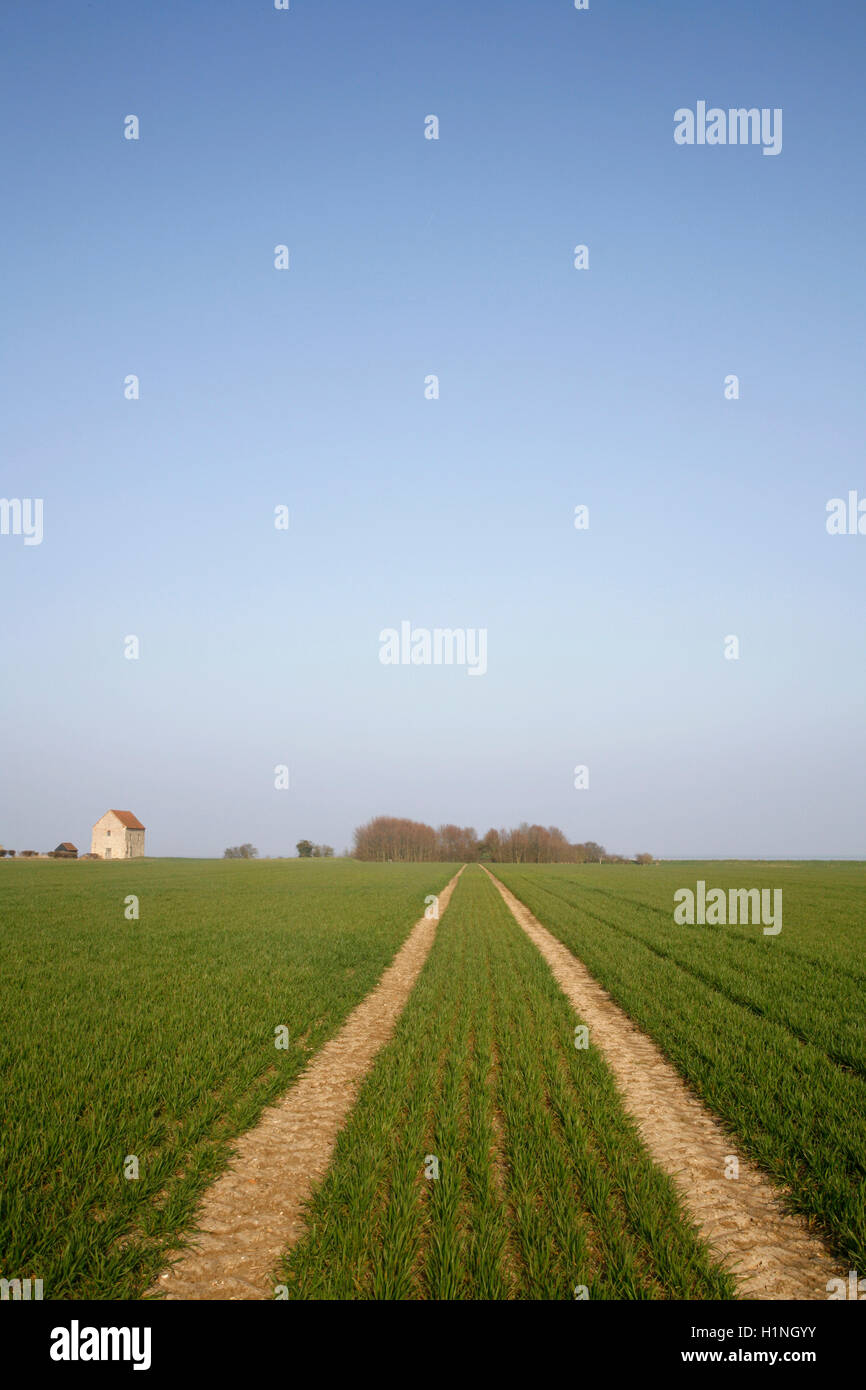 St. Peter an der Wand, Bradwell on Sea, Essex, UK Stockfoto
