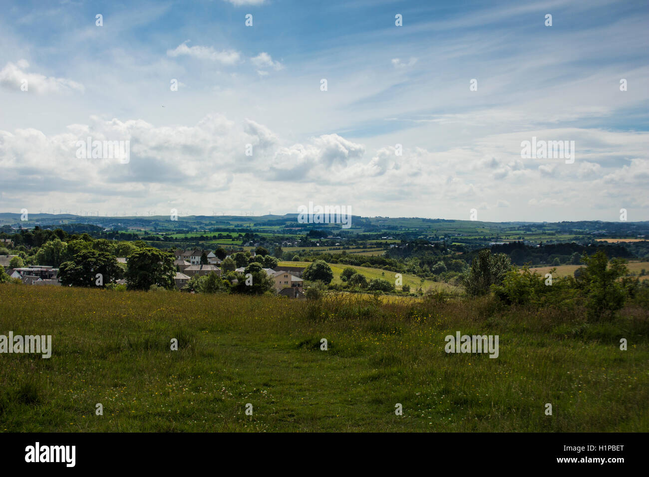 Landschaft des catkin Braes Country Park Stockfoto